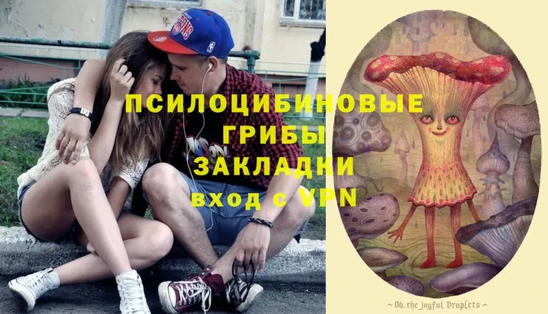 mega рабочий сайт  Таганрог  Галлюциногенные грибы Psilocybine cubensis 