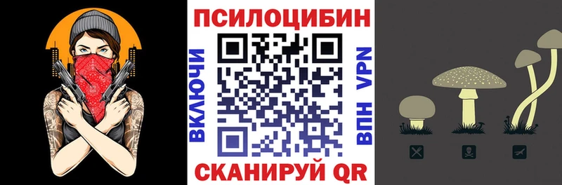 Псилоцибиновые грибы мухоморы  наркота  Таганрог 